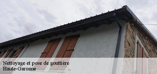 Nettoyage et pose de gouttière 31 Haute-Garonne  Couverture Midi Pyrénées