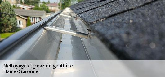 Nettoyage et pose de gouttière 31 Haute-Garonne Couverture J.T