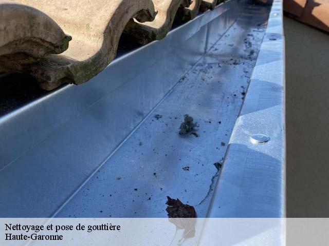 Nettoyage et pose de gouttière Haute-Garonne 