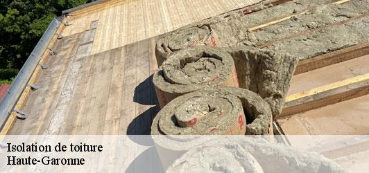 Isolation de toiture 31 Haute-Garonne  Couverture J.T