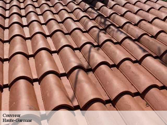 Couvreur 31 Haute-Garonne  BELLISARIO Franck, Couvreur 31