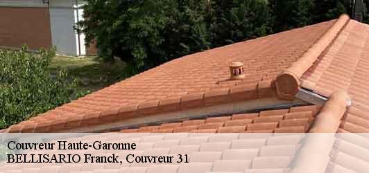 Couvreur 31 Haute-Garonne  BELLISARIO Franck, Couvreur 31