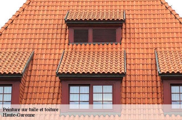 Peinture sur tuile et toiture 31 Haute-Garonne  Couverture Midi Pyrénées