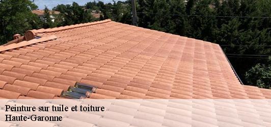 Peinture sur tuile et toiture 31 Haute-Garonne  Couverture Midi Pyrénées