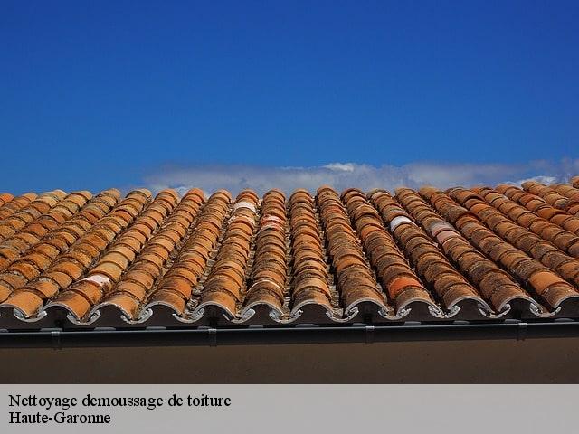 Nettoyage demoussage de toiture 31 Haute-Garonne  Couverture Midi Pyrénées