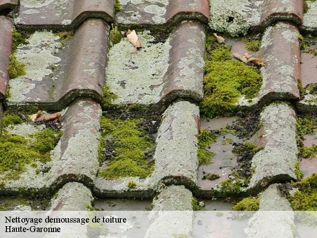Nettoyage demoussage de toiture 31 Haute-Garonne  Couverture J.T