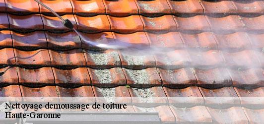 Nettoyage demoussage de toiture 31 Haute-Garonne  Couverture J.T