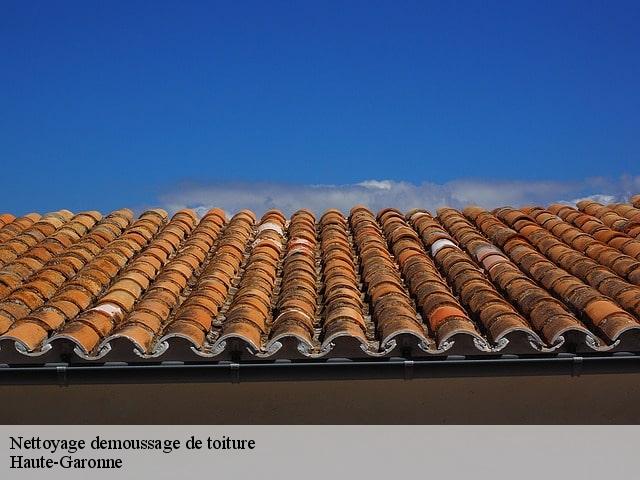 Nettoyage demoussage de toiture Haute-Garonne 