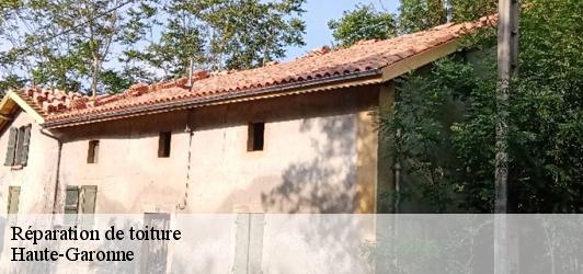 Réparation de toiture 31 Haute-Garonne  Couverture Midi Pyrénées