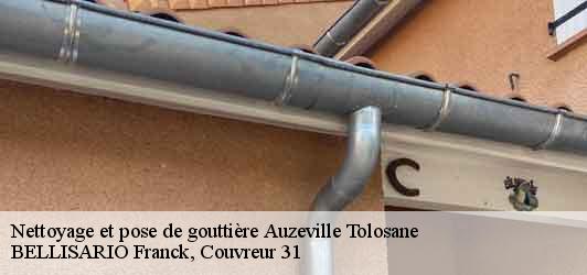 Nettoyage et pose de gouttière  auzeville-tolosane-31320 BELLISARIO Franck, Couvreur 31