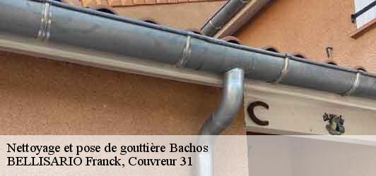 Nettoyage et pose de gouttière  bachos-31440 BELLISARIO Franck, Couvreur 31