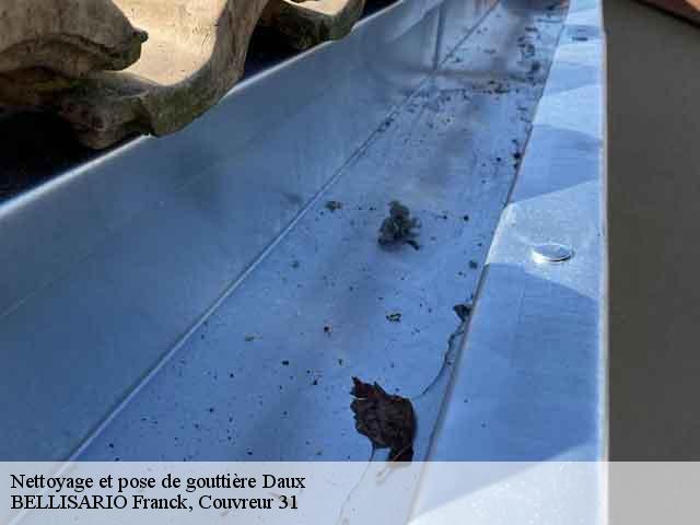 Nettoyage et pose de gouttière  daux-31700 BELLISARIO Franck, Couvreur 31