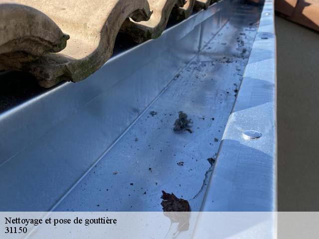 Nettoyage et pose de gouttière 31150