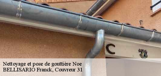 Nettoyage et pose de gouttière  noe-31410 BELLISARIO Franck, Couvreur 31