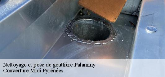 Nettoyage et pose de gouttière  palaminy-31220 Couverture Midi Pyrénées
