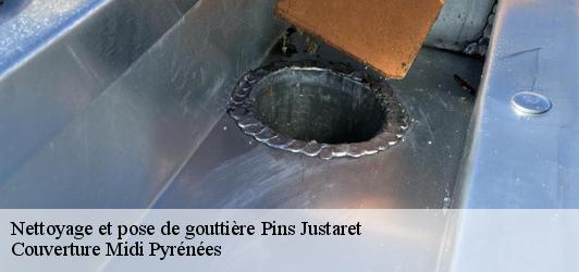 Nettoyage et pose de gouttière  pins-justaret-31860 Couverture Midi Pyrénées