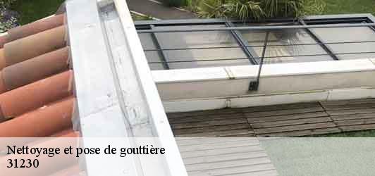 Nettoyage et pose de gouttière  saint-frajou-31230 BELLISARIO Franck, Couvreur 31