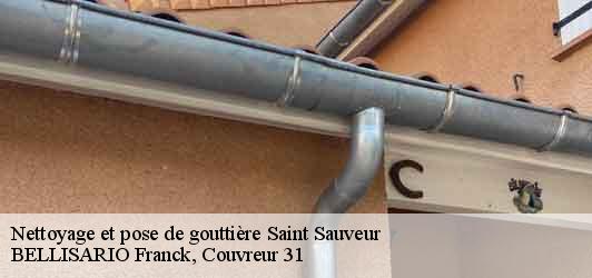 Nettoyage et pose de gouttière  saint-sauveur-31790 BELLISARIO Franck, Couvreur 31