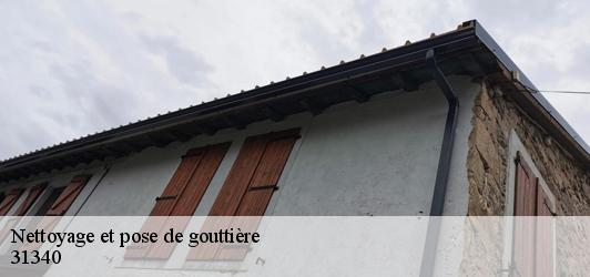 Nettoyage et pose de gouttière  villemur-sur-tarn-31340 Couverture Midi Pyrénées
