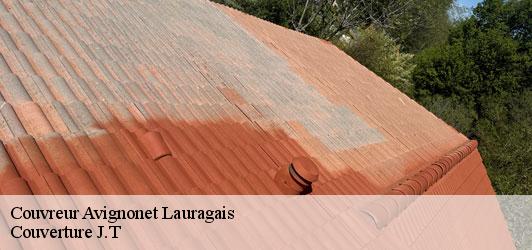 Couvreur  avignonet-lauragais-31290 Couverture J.T
