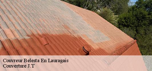 Couvreur  belesta-en-lauragais-31540 Couverture J.T
