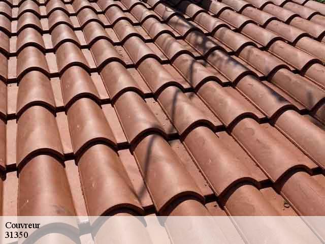 Couvreur  boulogne-sur-gesse-31350 BELLISARIO Franck, Couvreur 31