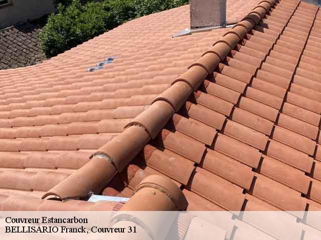 Couvreur  estancarbon-31800 BELLISARIO Franck, Couvreur 31