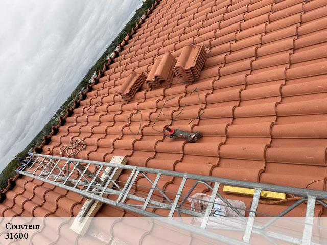 Couvreur  lamasquere-31600 Couverture J.T