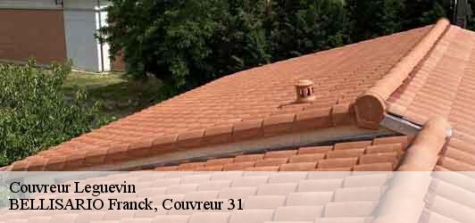 Couvreur  leguevin-31490 BELLISARIO Franck, Couvreur 31