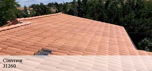 Couvreur  mazeres-sur-salat-31260 BELLISARIO Franck, Couvreur 31