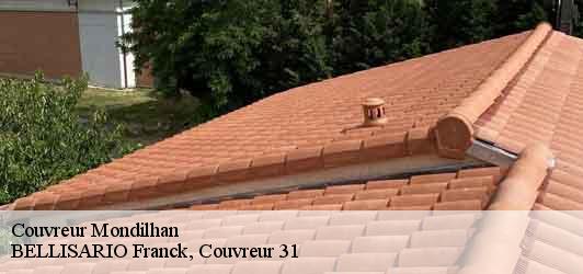Couvreur  mondilhan-31350 BELLISARIO Franck, Couvreur 31