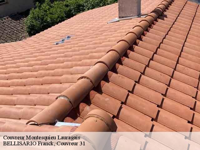 Couvreur  montesquieu-lauragais-31450 BELLISARIO Franck, Couvreur 31