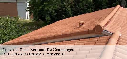 Couvreur  saint-bertrand-de-comminges-31510 BELLISARIO Franck, Couvreur 31