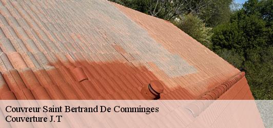 Couvreur  saint-bertrand-de-comminges-31510 Couverture J.T