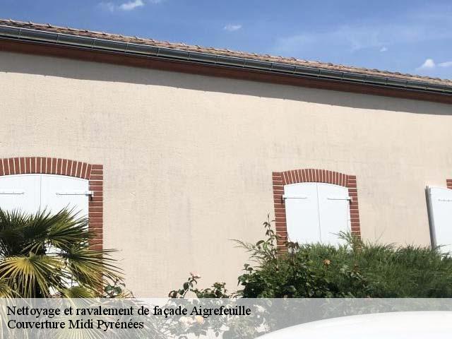 Nettoyage et ravalement de façade  aigrefeuille-31280 Couverture Midi Pyrénées