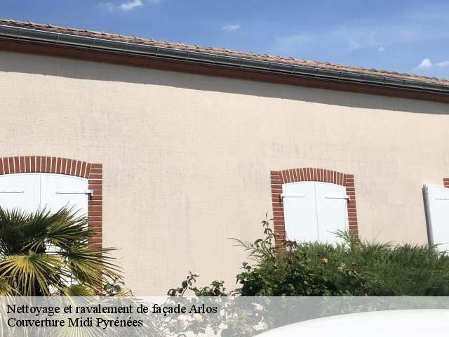 Nettoyage et ravalement de façade  arlos-31440 Couverture Midi Pyrénées