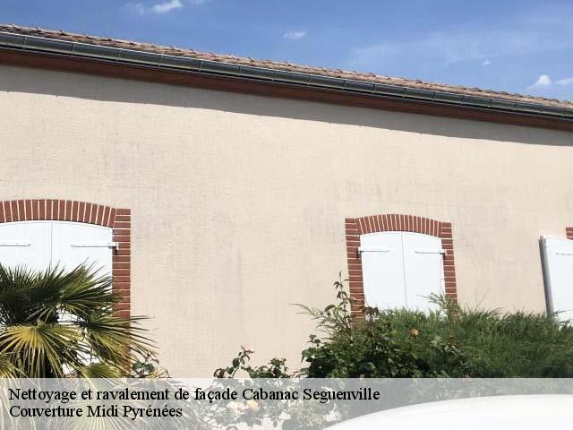 Nettoyage et ravalement de façade  cabanac-seguenville-31480 Couverture Midi Pyrénées