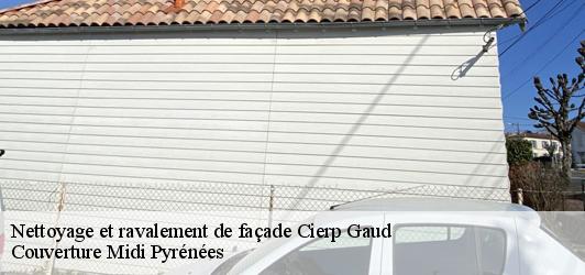 Nettoyage et ravalement de façade  cierp-gaud-31440 Couverture Midi Pyrénées