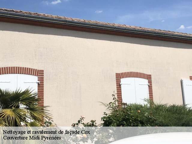Nettoyage et ravalement de façade  cox-31480 Couverture Midi Pyrénées