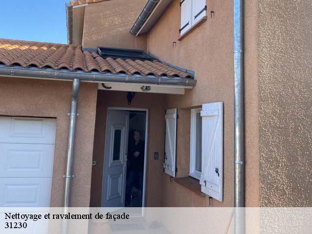 Nettoyage et ravalement de façade 31230