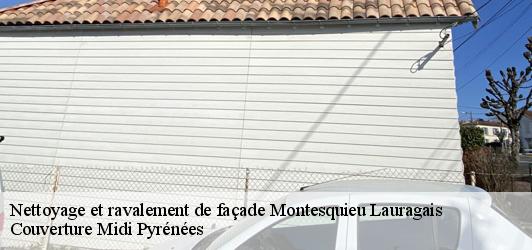 Nettoyage et ravalement de façade  montesquieu-lauragais-31450 Couverture Midi Pyrénées