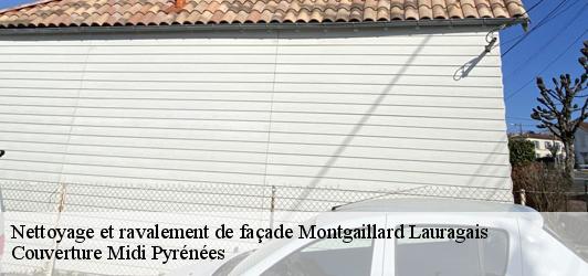 Nettoyage et ravalement de façade  montgaillard-lauragais-31290 Couverture Midi Pyrénées