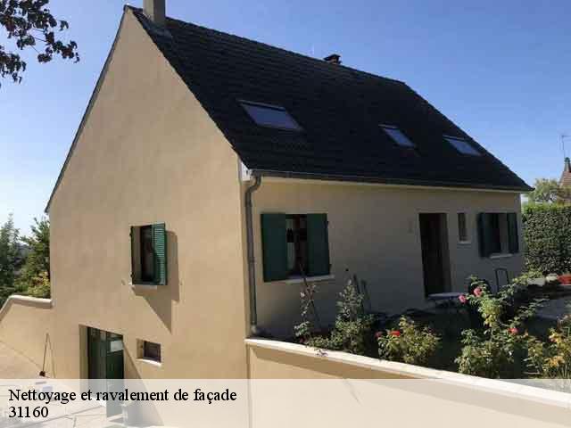 Nettoyage et ravalement de façade  portet-d-aspet-31160 Couverture J.T