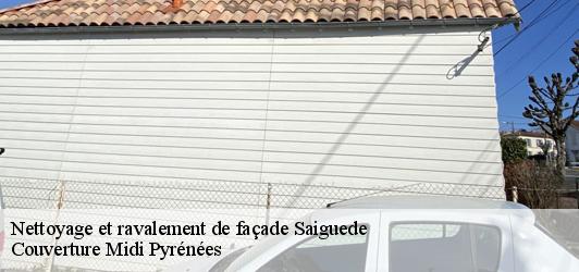 Nettoyage et ravalement de façade  saiguede-31470 Couverture Midi Pyrénées