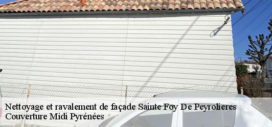 Nettoyage et ravalement de façade  sainte-foy-de-peyrolieres-31470 Couverture Midi Pyrénées