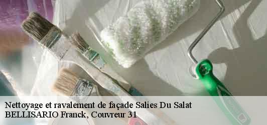Nettoyage et ravalement de façade  salies-du-salat-31260 BELLISARIO Franck, Couvreur 31