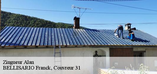 Zingueur alan-31420 BELLISARIO Franck, Couvreur 31