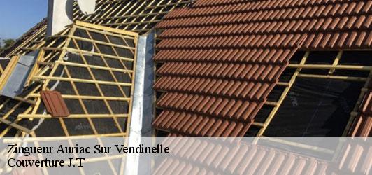 Zingueur  auriac-sur-vendinelle-31460 Couverture J.T