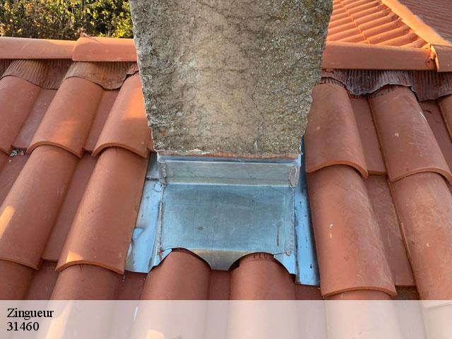 Zingueur  le-cabanial-31460 Couverture J.T