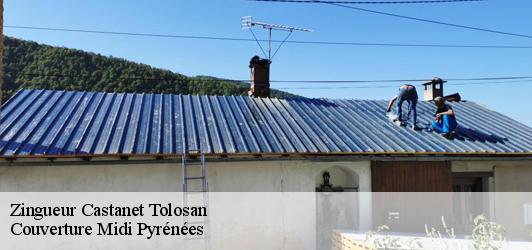 Zingueur  castanet-tolosan-31320 Couverture Midi Pyrénées